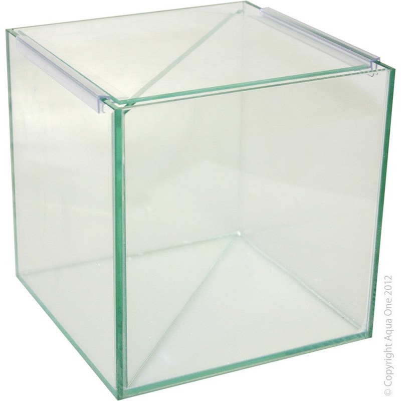 Aqua One Betta Divided Glass Tank 20x20x20cm (56306)
