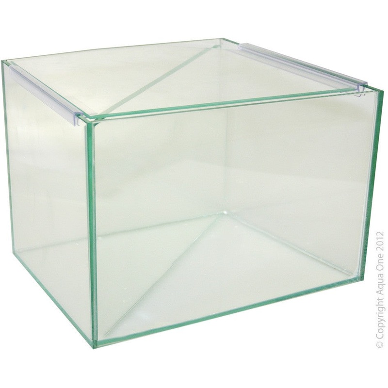 Aqua One Betta Divided Glass Tank 25x20x20cm (56307)