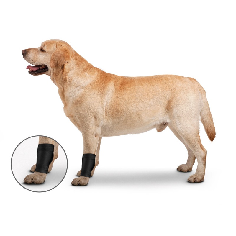 ZenPet Ligament Protector Small