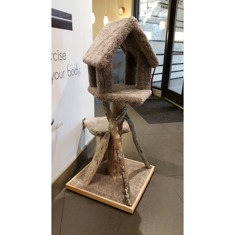 Scratch and Sniff Studio