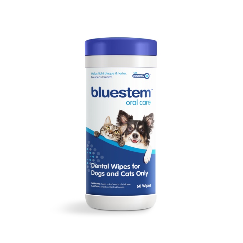 Bluestem Dental Wipes With Coactiv+ Vanilla 60 Count