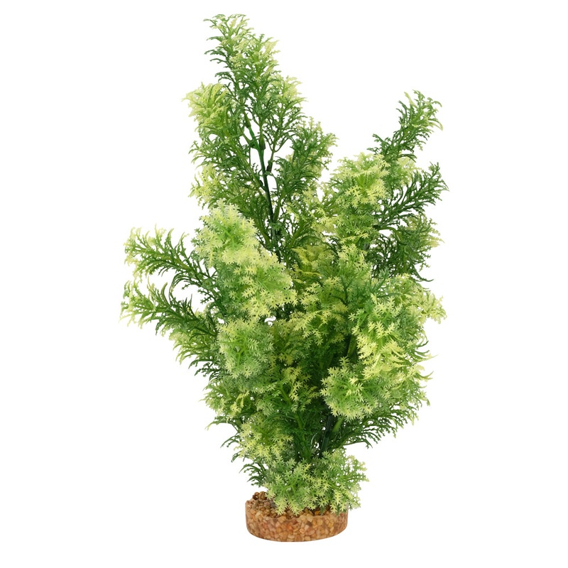 Fluval AQUAlife White-Tipped Hottonia Plant – 14 inch
