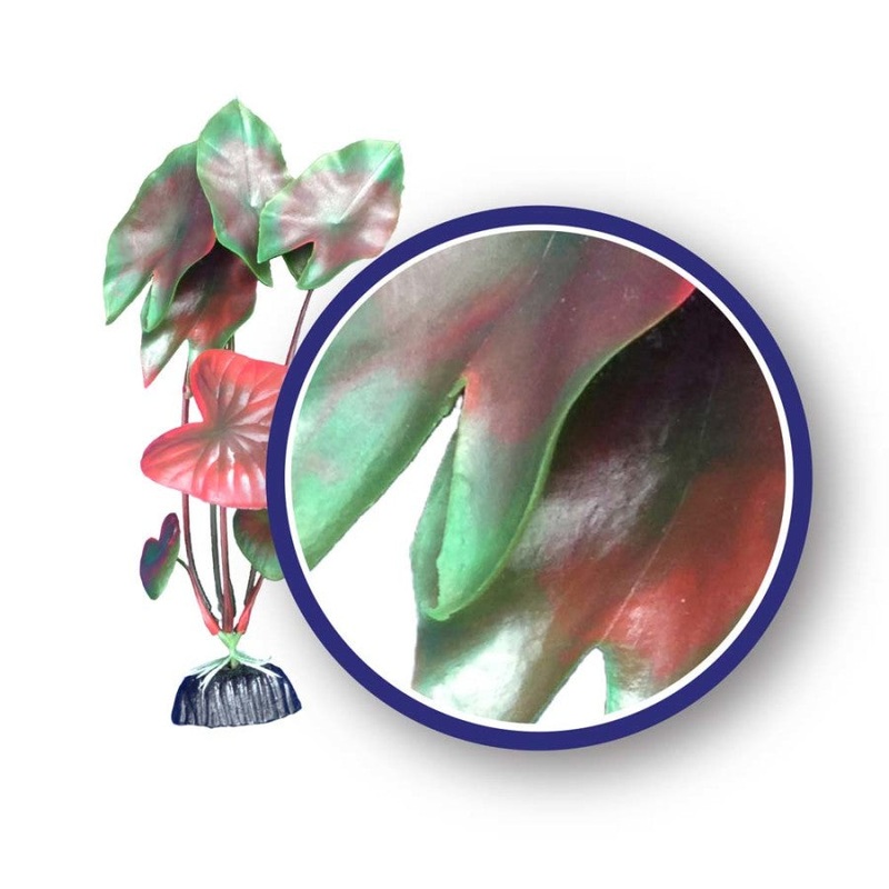 Weco Freshwater Series Tiger Lotus Aquarium Plant Red 6 inch