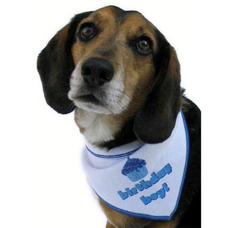 Birthday Boy Bandana Scarf in White Small