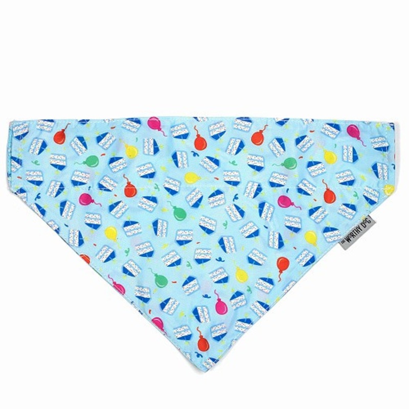 Birthday Boy Pet Dog Collar Bandana Small