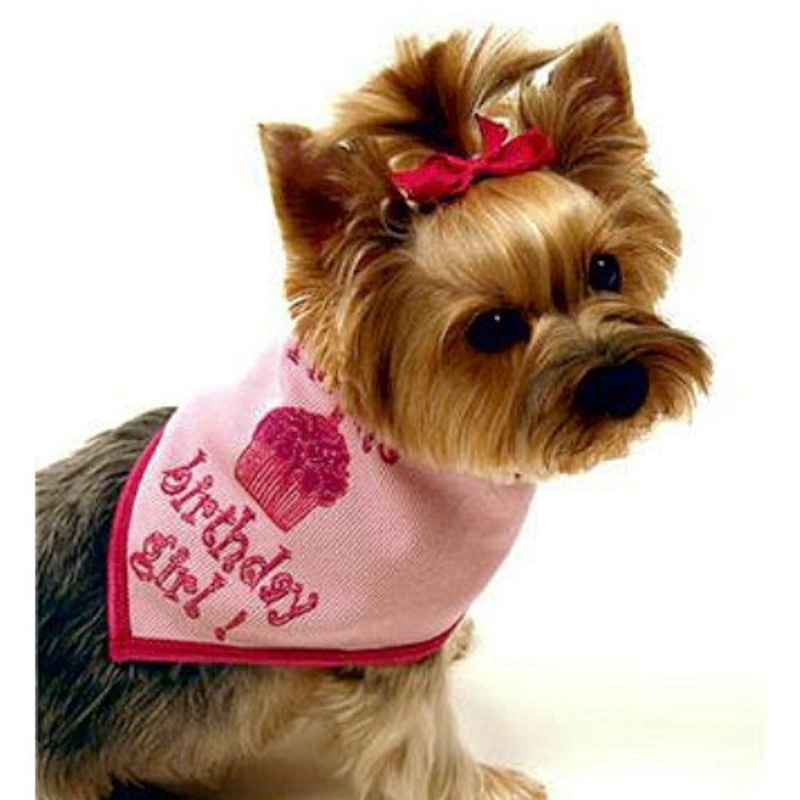 Birthday Girl Bandana Scarf in Pink Small