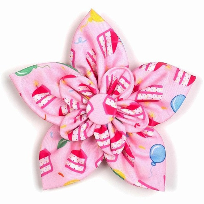 Birthday Girl Pet Dog Collar Flower Small