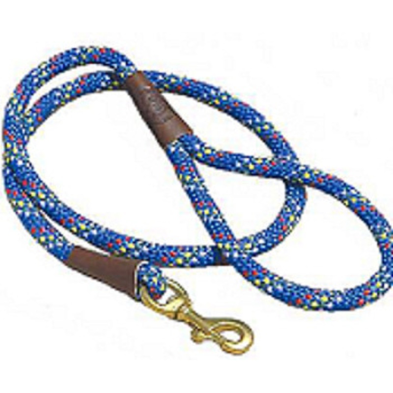 Dog Braid Small Snap Leash 6