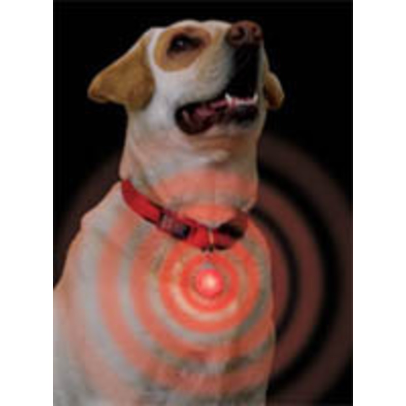 Clip on L.E.D. Safety Light – FOR CATS TOO! Lime Green