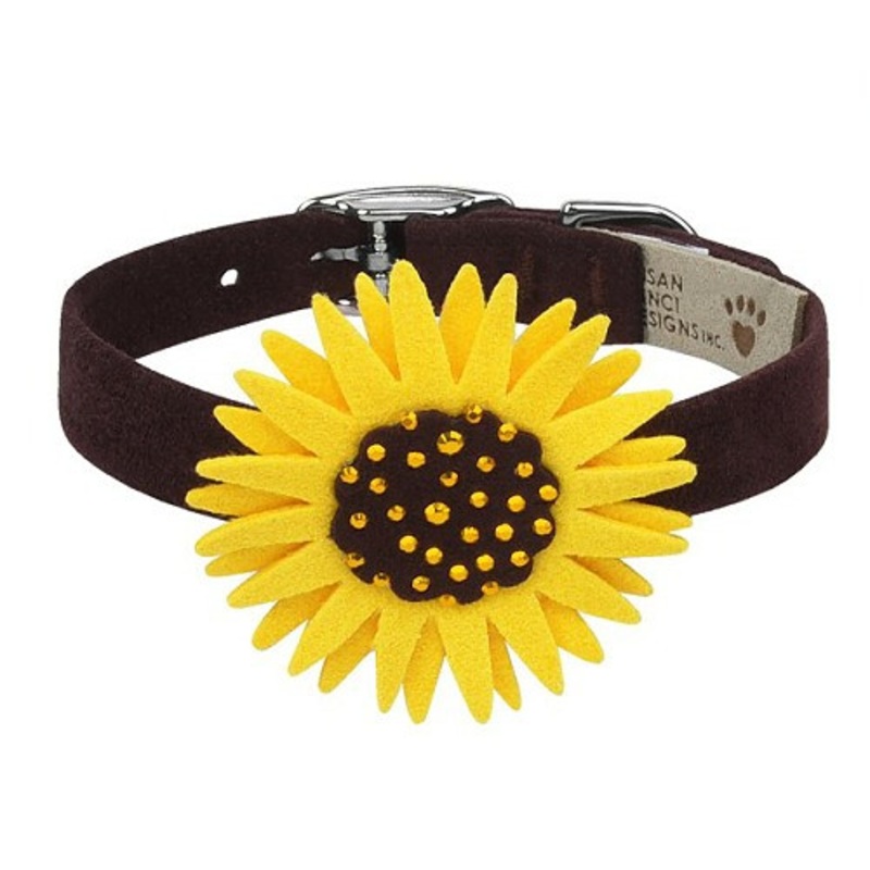 Sunflower Dog Collar Teacup 5 -6.5″ neck