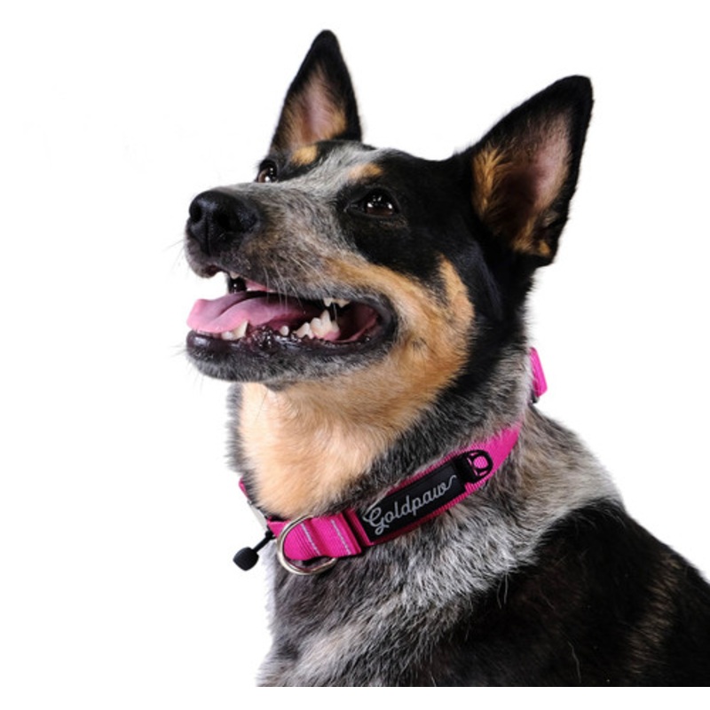 Swiftlock Dog Side Release 1″ Collar – Fuchsia Pink