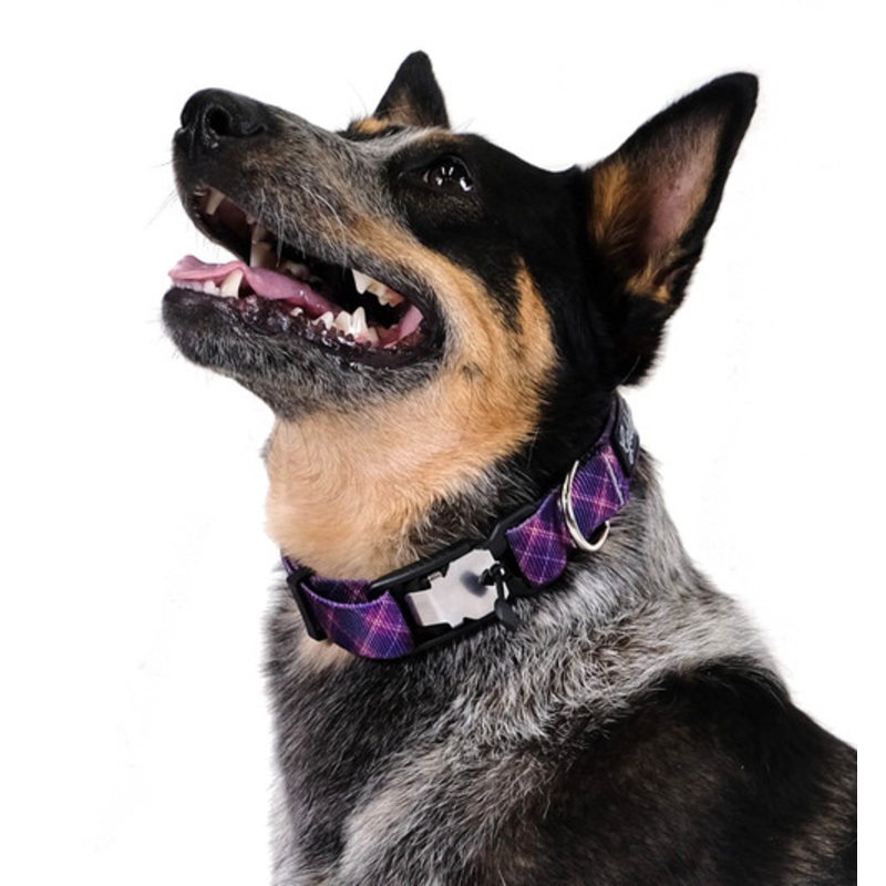Swiftlock Dog Side Release 1″ Collar – Mulberry Plaid
