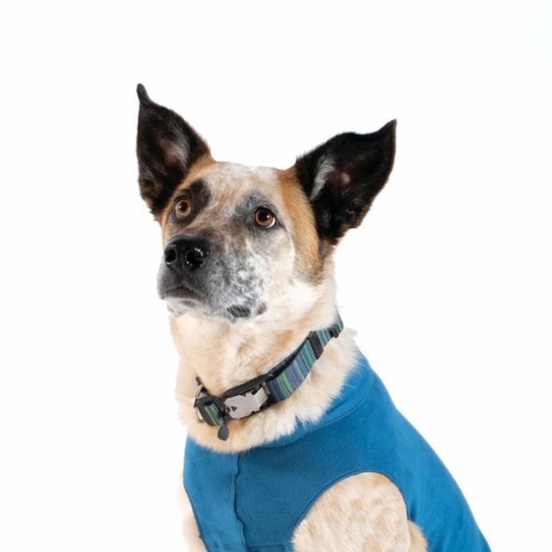 Swiftlock Dog Side Release 1″ Collar – Riverbed