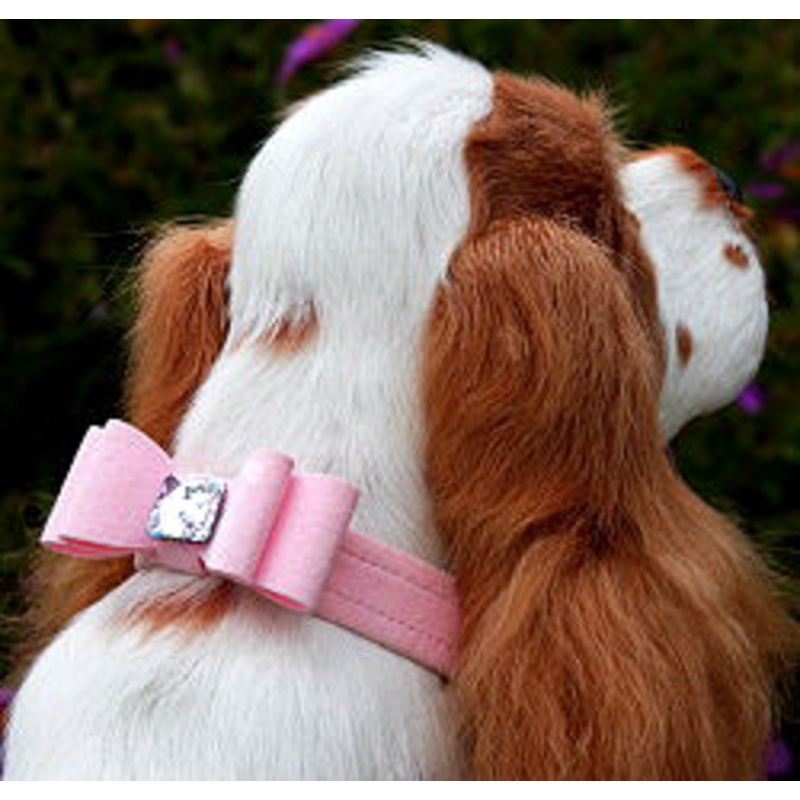 Wide Big Bow Dog Collar – Susan Lanci