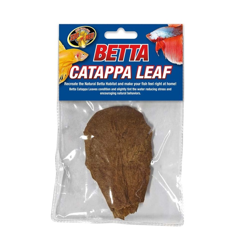 Zoo Med Betta Catappa Leaf 3 Pack