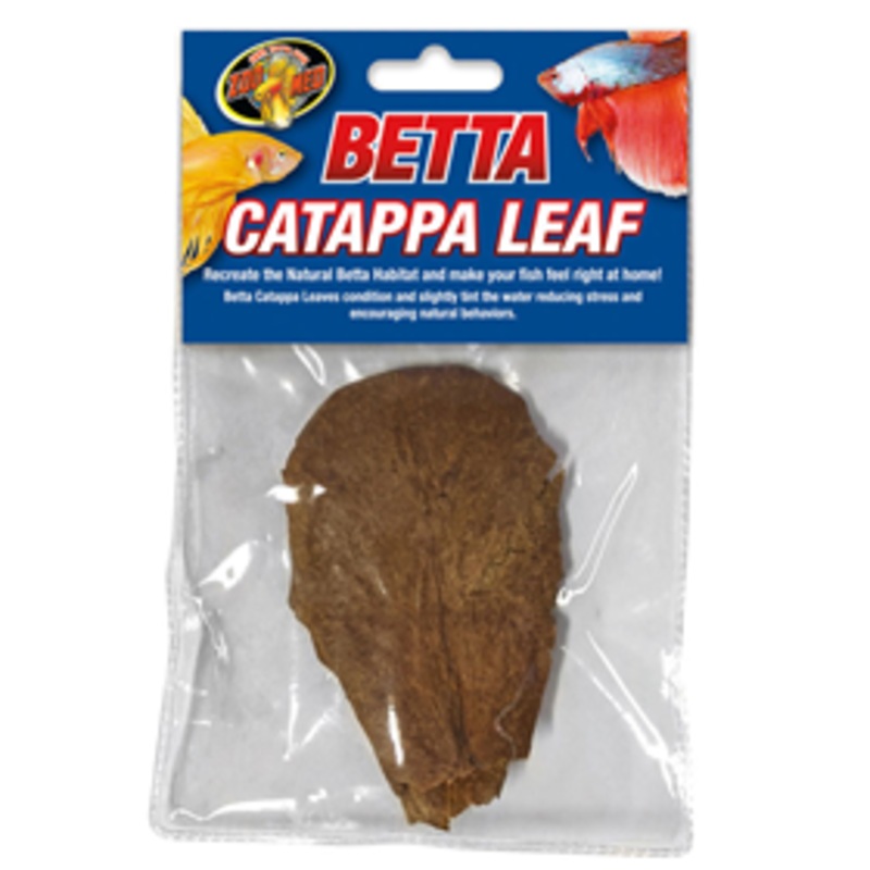 Zoo Med Betta Catappa Leaf