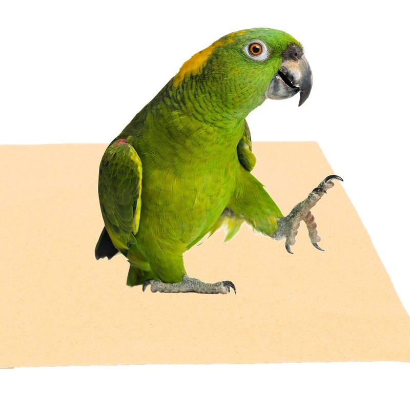 10Sheets Bird Cage Liners Sandpapers Disposable Parrot Bird Cage Cushion Pad Mat Pet