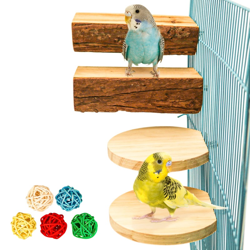 Reyshin 4 pieces of bird seating board budgie seating board bird playground Nibble toys bird cage accessories bird accessories with 5 rat ball for birds such as nymphic canaries canaries agapornids (H01)