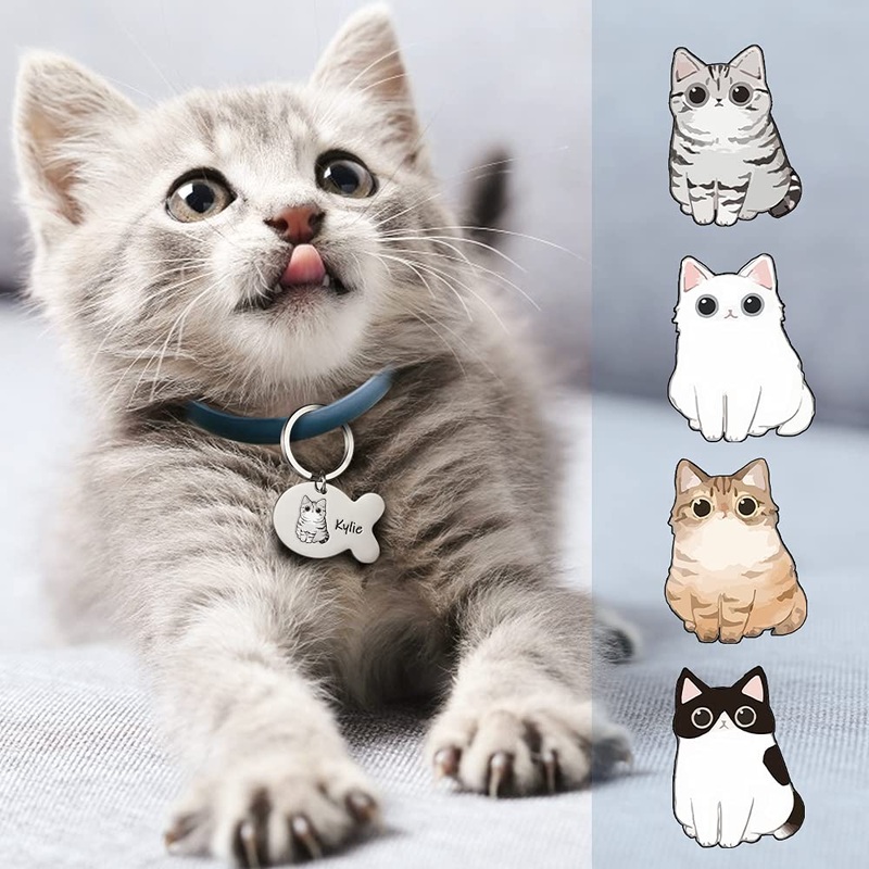 Cat brand with engraving stainless steel 10 cats selectable Name and telephone number personalized decoration on the cat collar shit!I’m Lost Call My Mom Cat-1