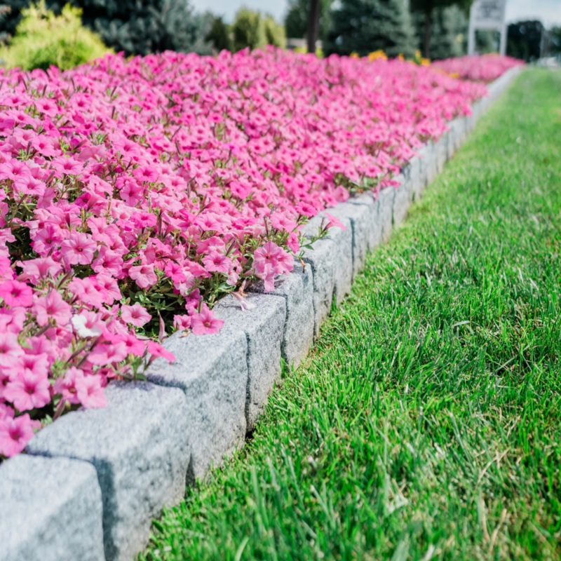 Beuta Block 4′ Section with 6 Blocks, 2 Spikes, Greystone