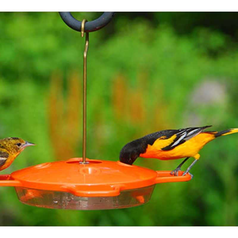 Aspects, Inc. Oriole Feeder