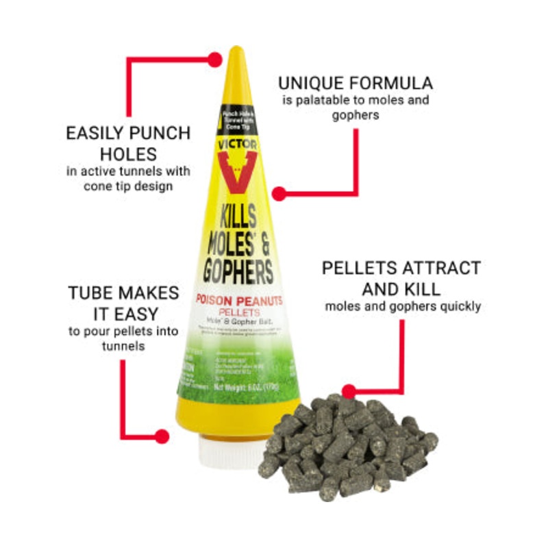 Victor Poison Peanuts – 1 Cone – 6oz