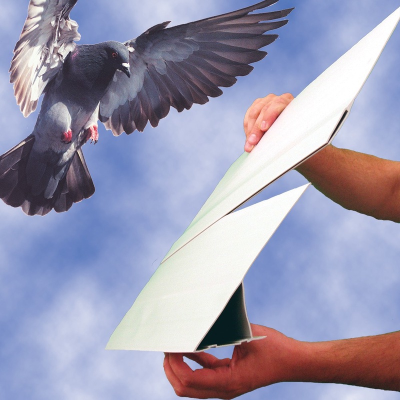 BIRD SLOPE EXTENDER (48)