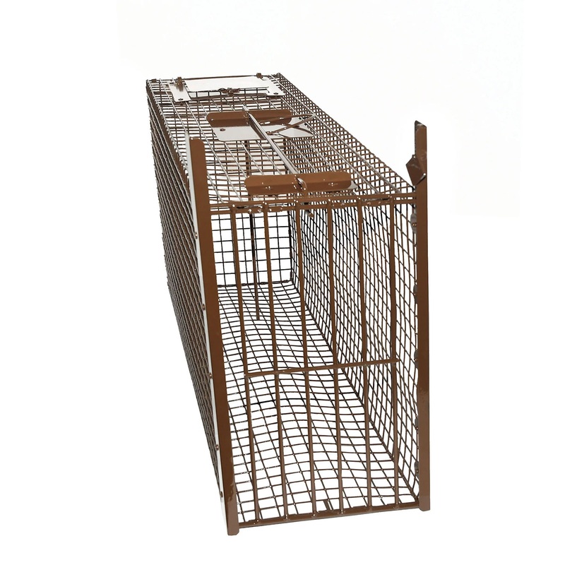 ZTRAPS Coyote Cage, Live Cage Trap (XL TRAP) 48″ x 17″ x 24″ : Animal Traps & Supplies