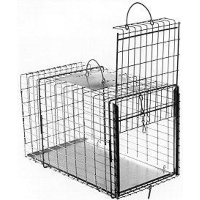 Cat/Rabbit Size Transfer Cage