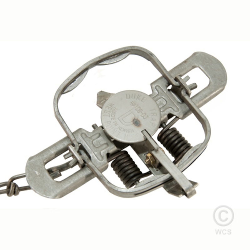 Duke #1 Double Coil, Double Jaw Traps – SINGLE