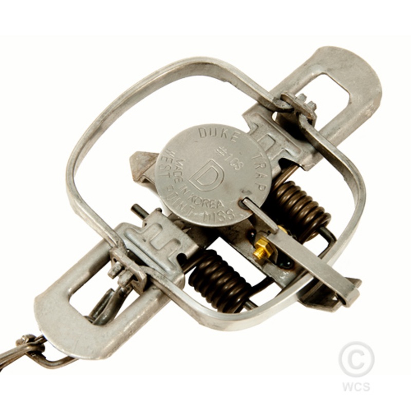 Duke #1 Double Coil, Standard Jaw Traps – SINGLE