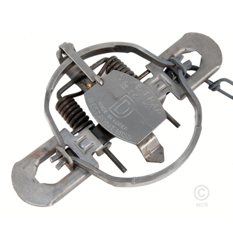 Duke #2 Double Coil, Off-set Jaw Traps – SINGLE