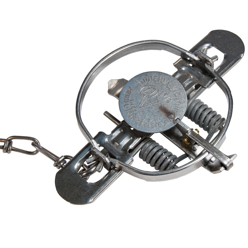 #1.5 Oneida Victor Coilspring- SINGLE