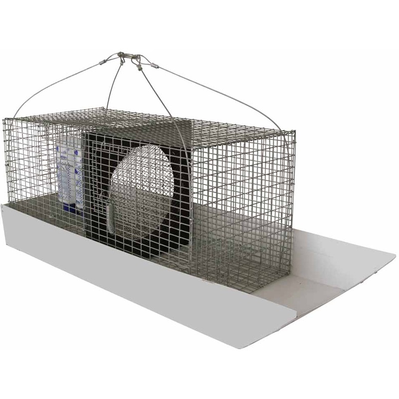 WCS Sparrow Sled Live Trap