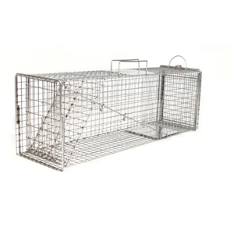 Neighborhood Cats Trap – 36″