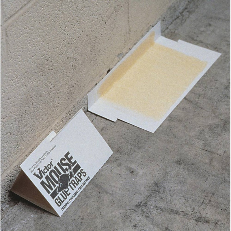 Victor M320 Holdfast Glue Boards (8.5″ x 5″) (Case of 72)