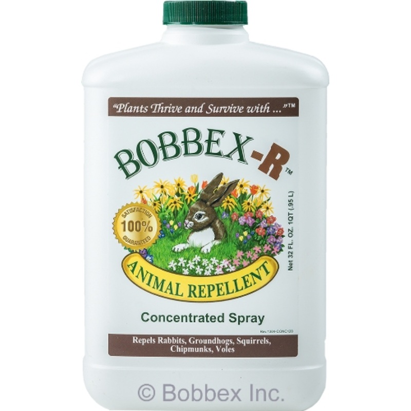 Bobbex-R Quart Concentrate – 32 oz.