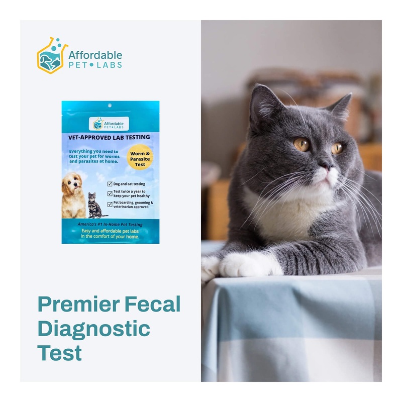 Affordable Pet Labs – Premier Fecal Diagnostic Test For Cats, Easy Home Kit