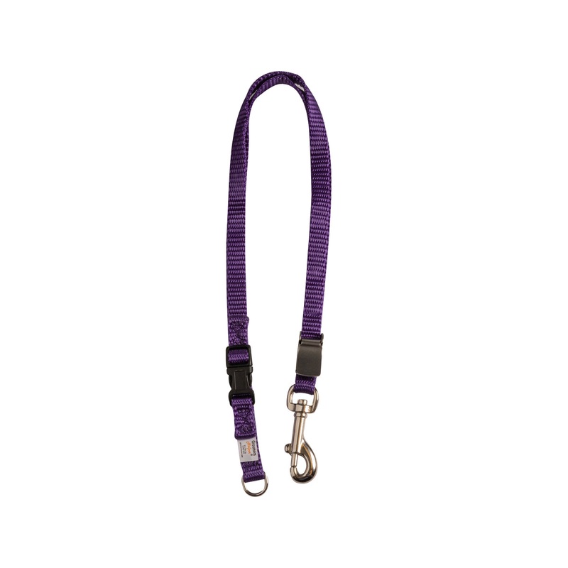 Groomer’s Helper 3/8 Small Grooming Loop Purple
