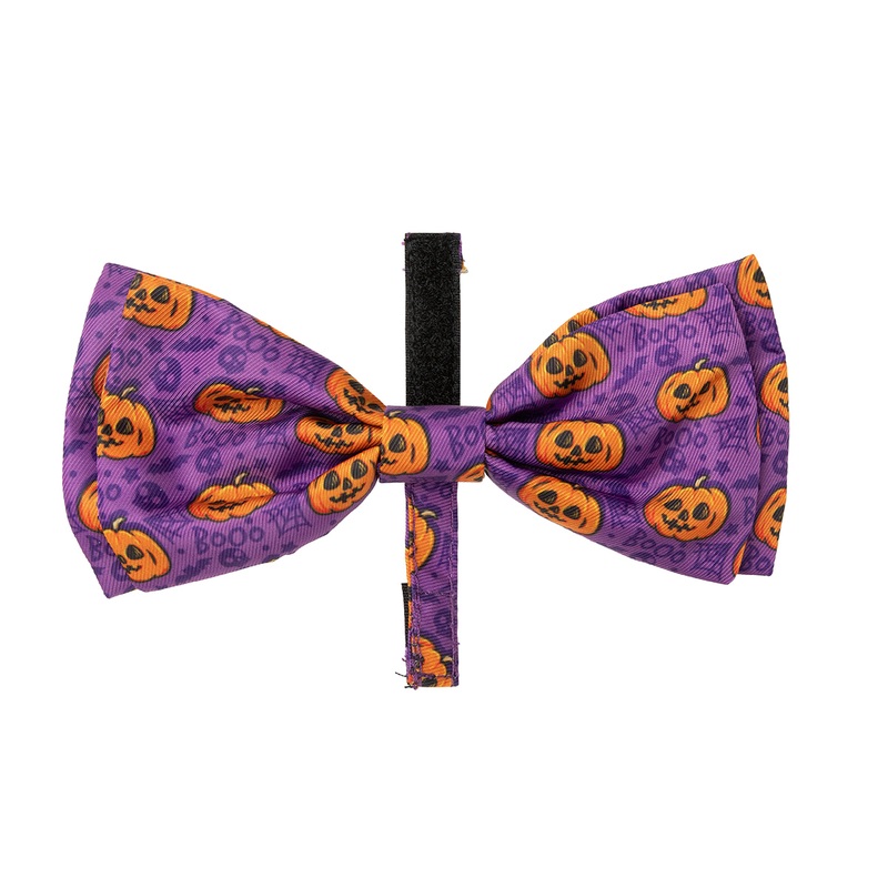 FuzzYard Bowtie Jack Jack Jackie Lantern Purple S