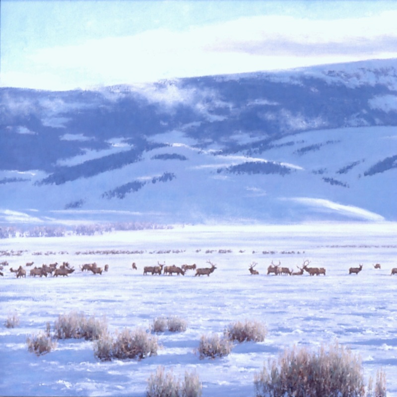 Tucker Smith ‘The Refuge’ Poster