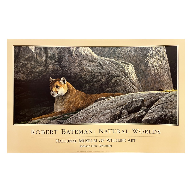 ‘Cougar’ Robert Bateman Poster
