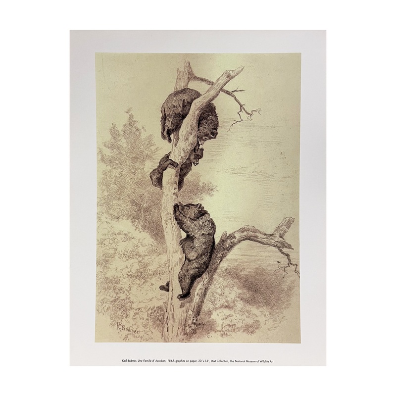 ‘Famille D’Acrobat’ Karl Bodmer Print