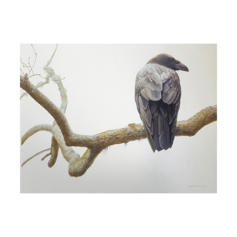 ‘Lone Raven’ Robert Bateman Poster