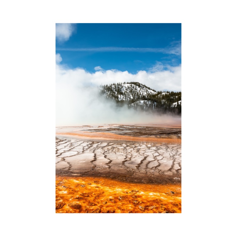 ‘Vibrance’ 11×14 Print