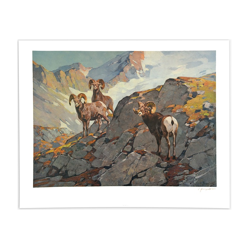 ‘Wander Above the Timberline’ Carl Rungius Print