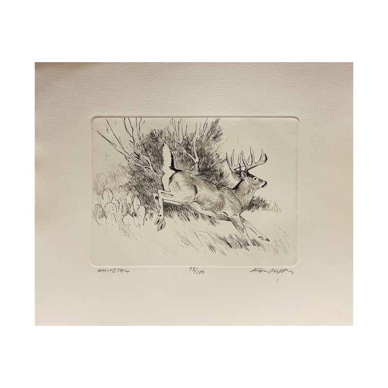 ‘Whitetail Etchings’ Ken Carlson Print