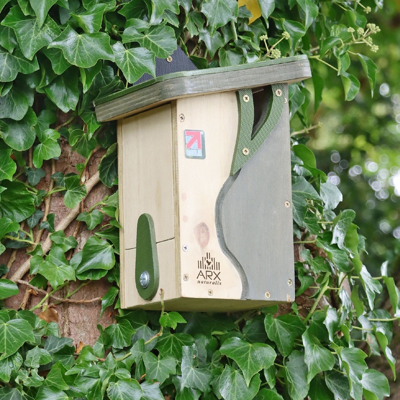 ‘Curve Cavity’ Long-life Natural Bird Nester