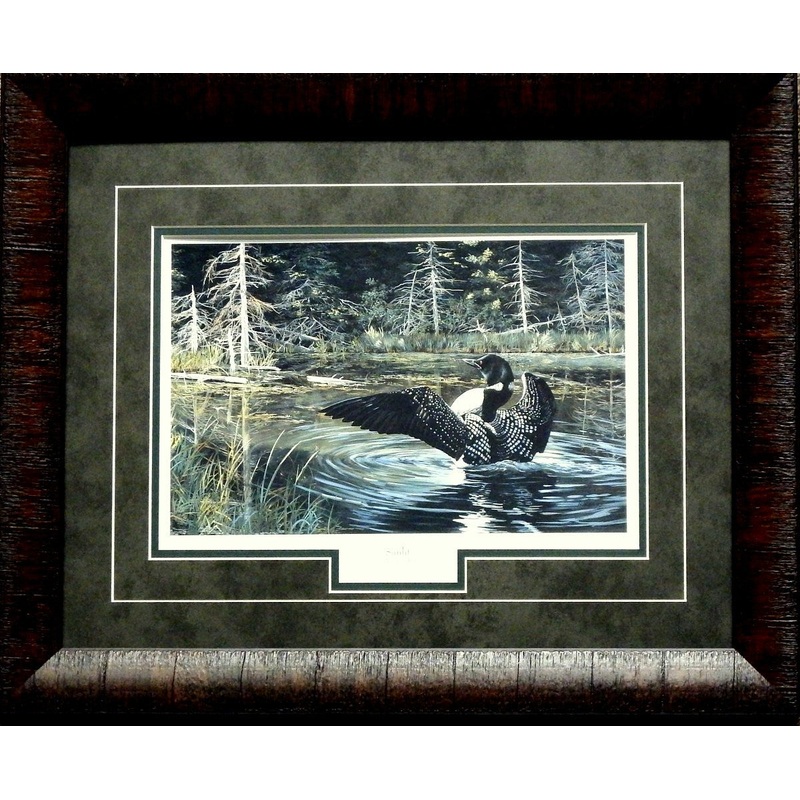 Andrew Kiss Sunlit Loon Print-Framed 21 x 17