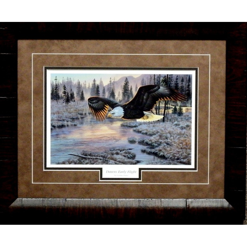 Cynthie Fisher Dawns Early Flight